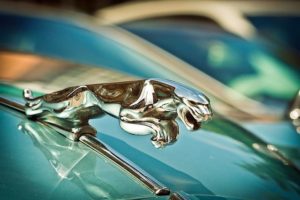 Jaguar Anwalt Reichweite Schadensersatz
